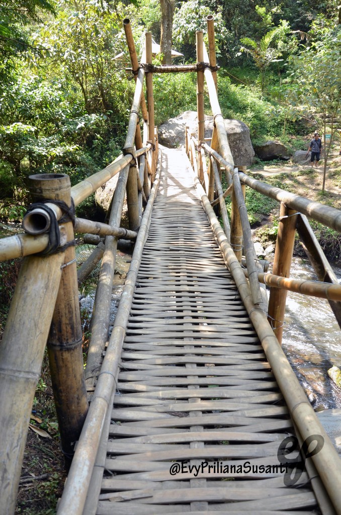 jembatan bambu di atas sungai kecil yang akan mengantarkan kita menuju Coban Pelangi